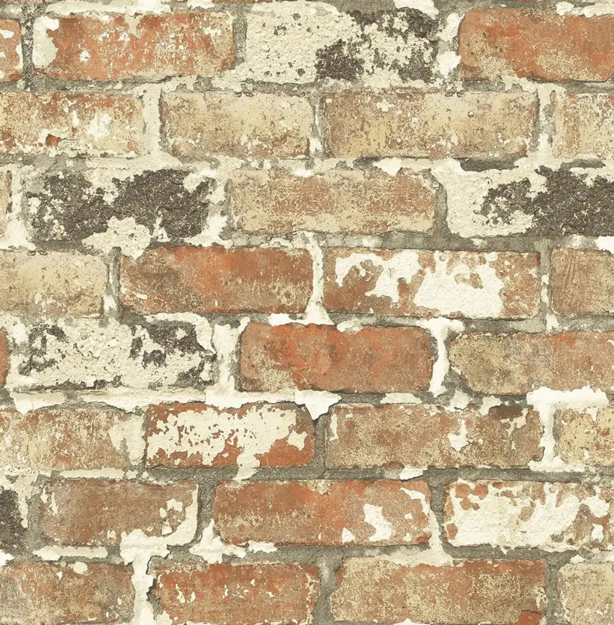 Brick — Pelican Prints