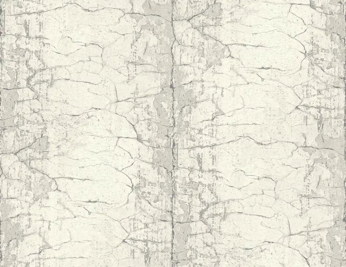 Metal Paneling — Pelican Prints