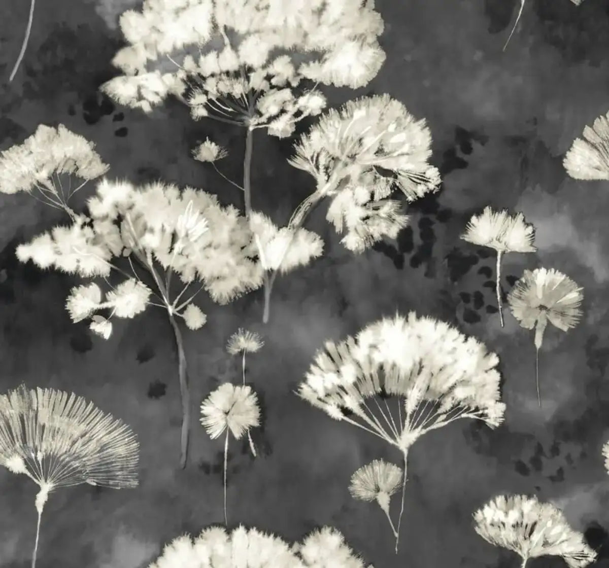 Dandellions — Pelican Prints