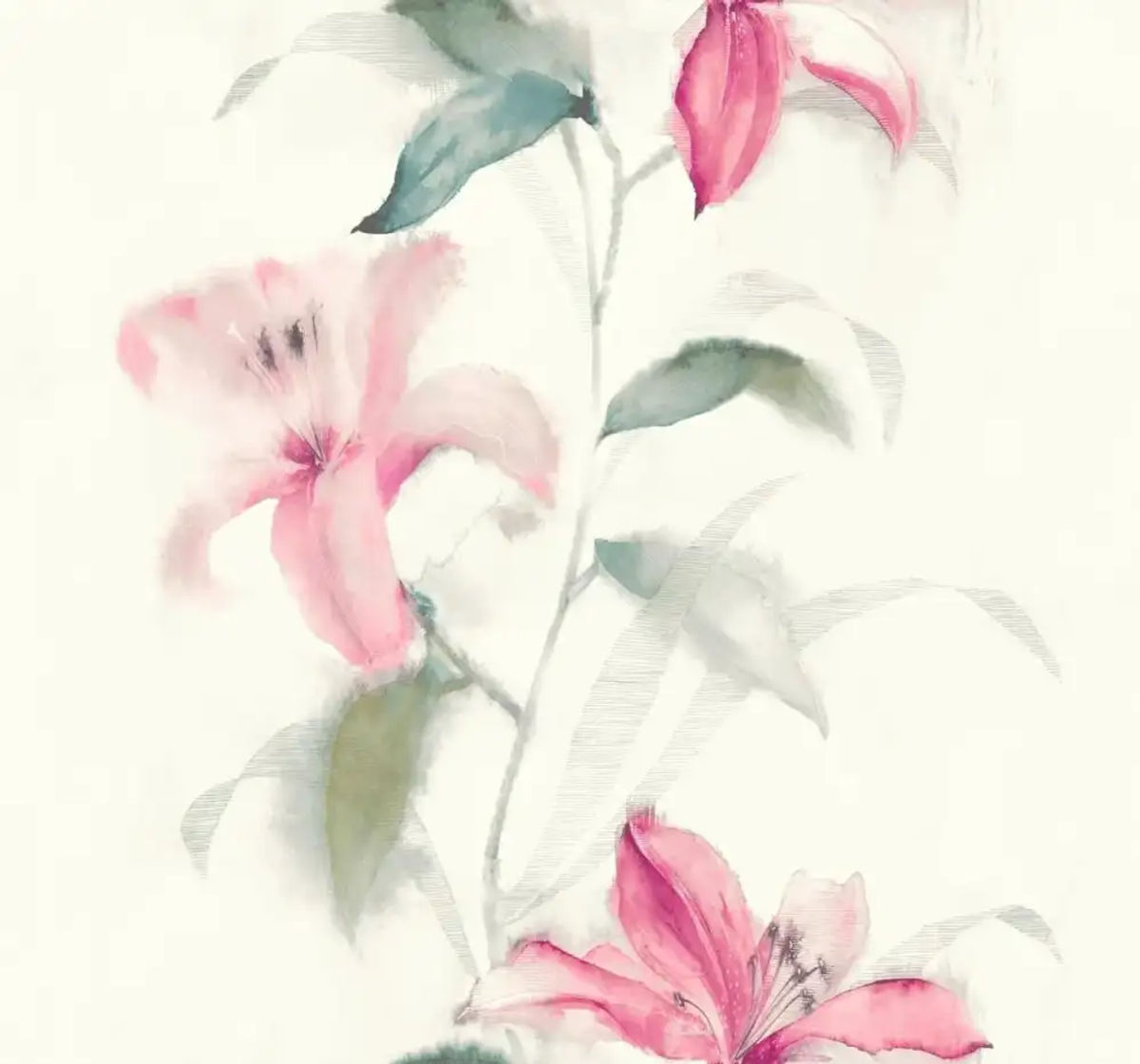 Lillies — Pelican Prints