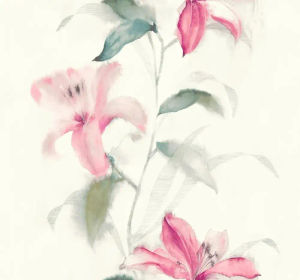 Lillies — Pelican Prints