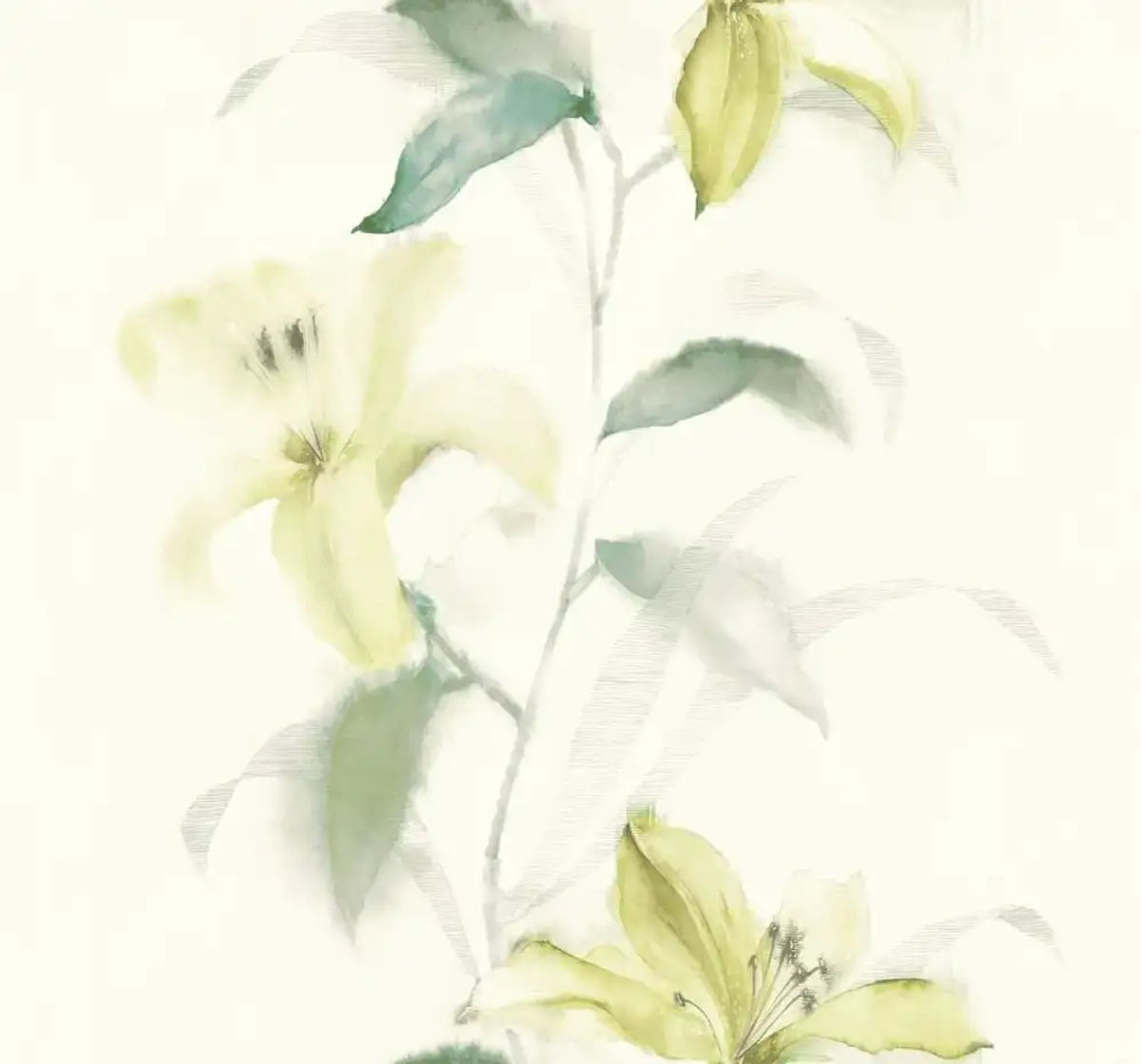 Lillies — Pelican Prints