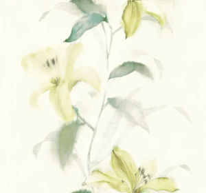 Lillies — Pelican Prints