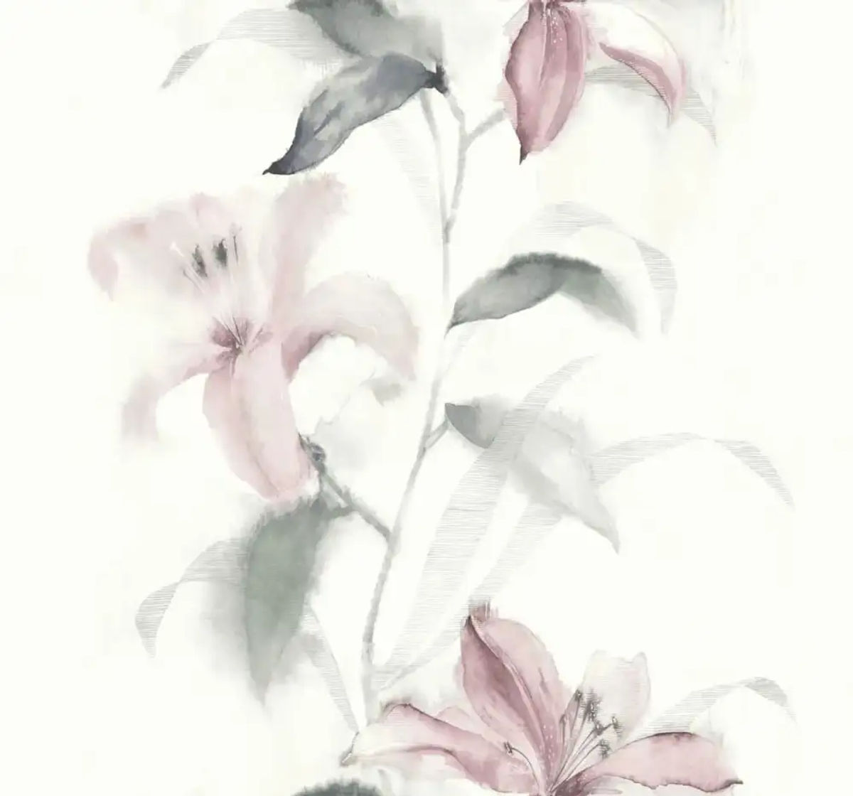 Lillies — Pelican Prints