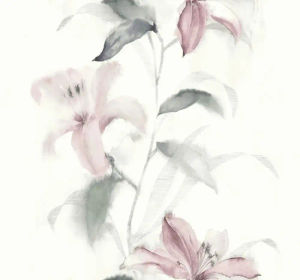 Lillies — Pelican Prints