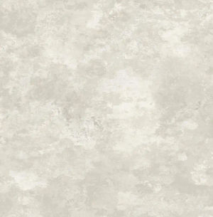Cloudy Faux — Pelican Prints