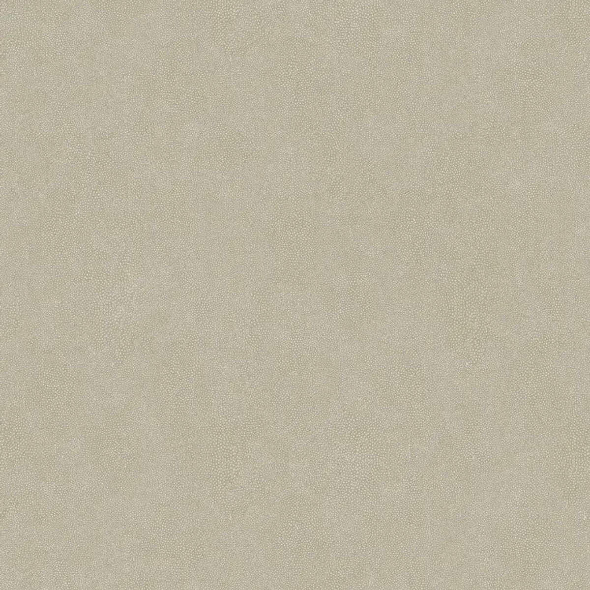Questex Shagreen — Questex