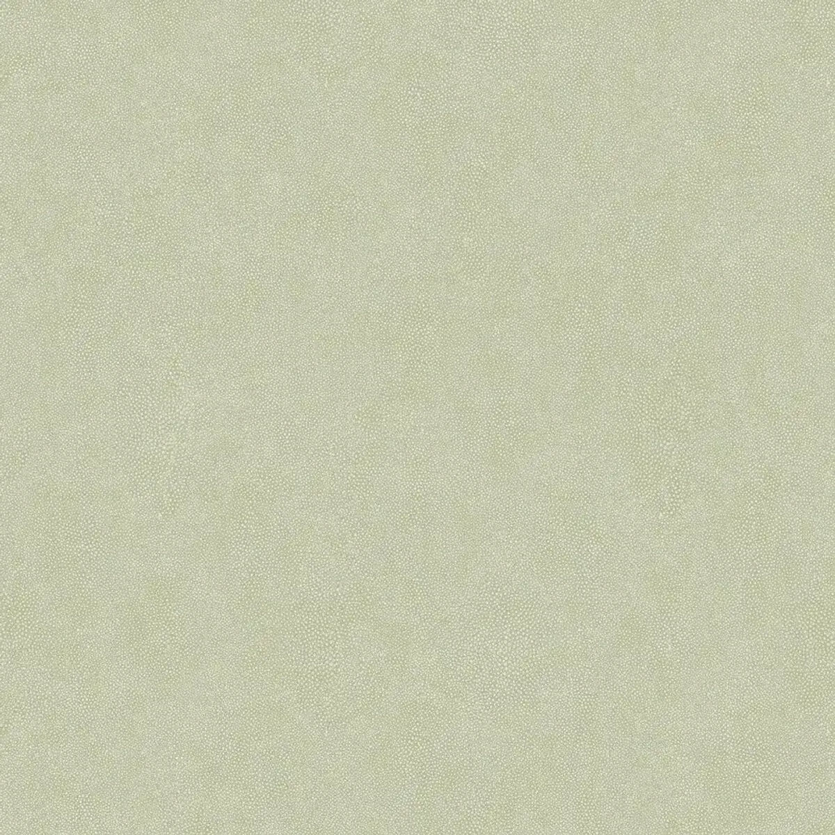 Questex Shagreen — Questex