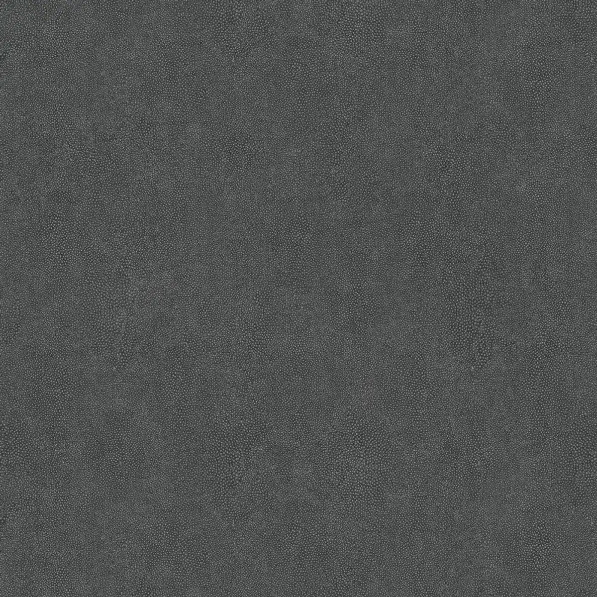 Questex Shagreen — Questex