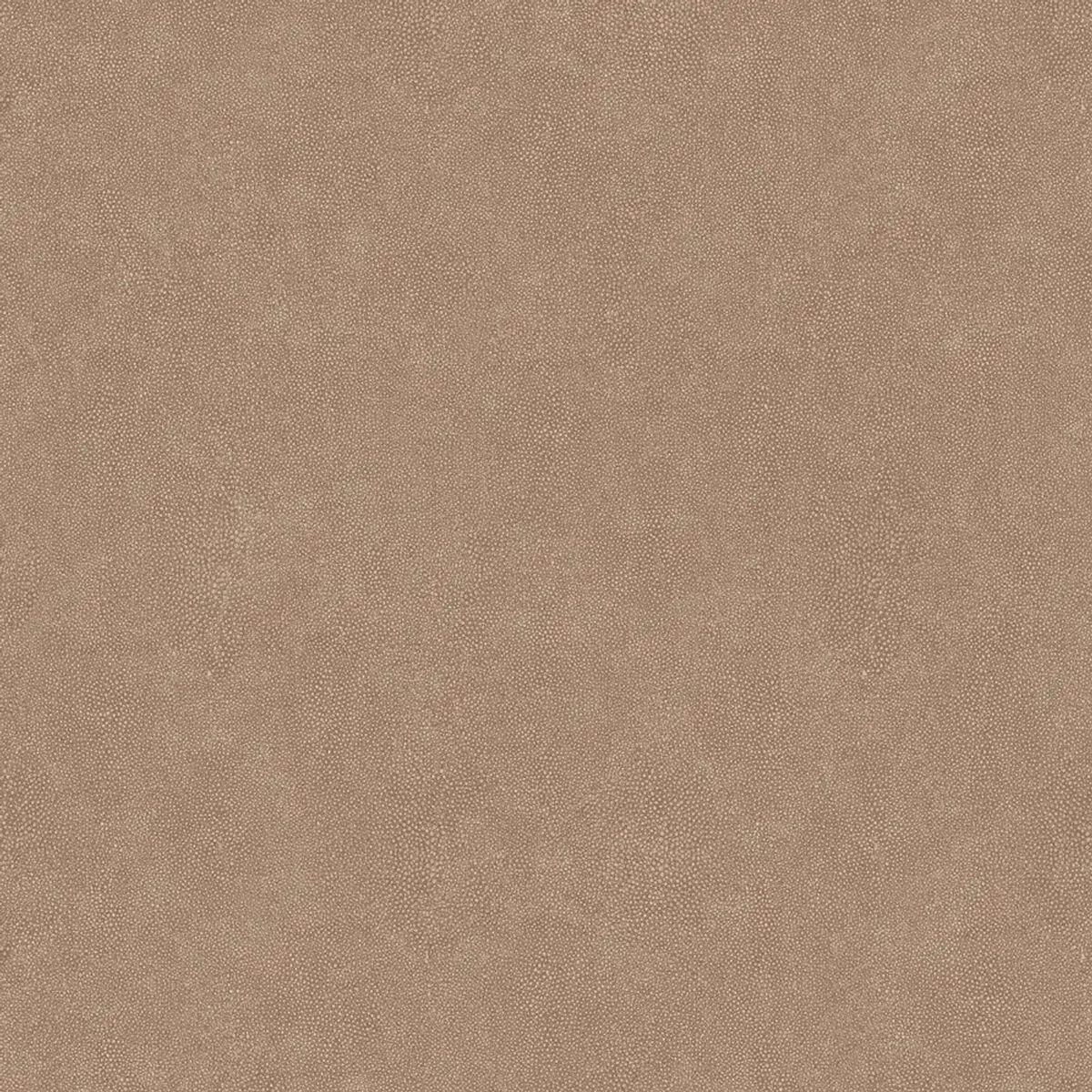 Questex Shagreen — Questex
