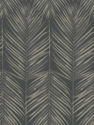 Palm Leaves — Seabrook Designs