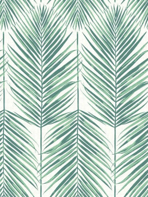 Palm Leaves — Seabrook Designs