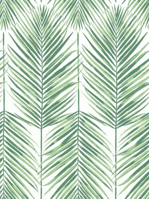 Palm Leaves — Seabrook Designs
