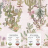 Desert Mural Wallpaper Mural - Pink Sand