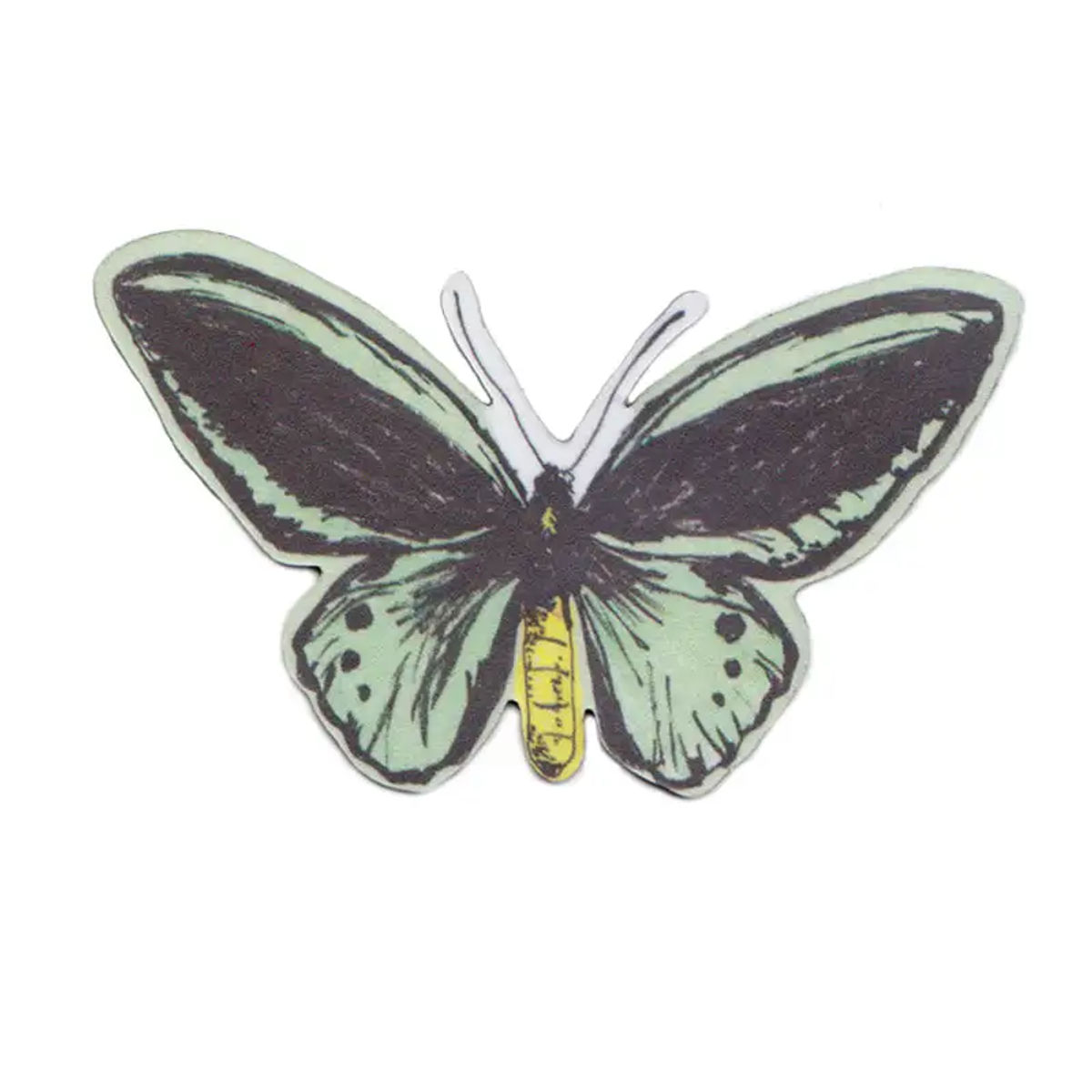 Green Butterfly Magnet — Sian Zeng