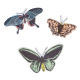 Green Butterfly Magnet