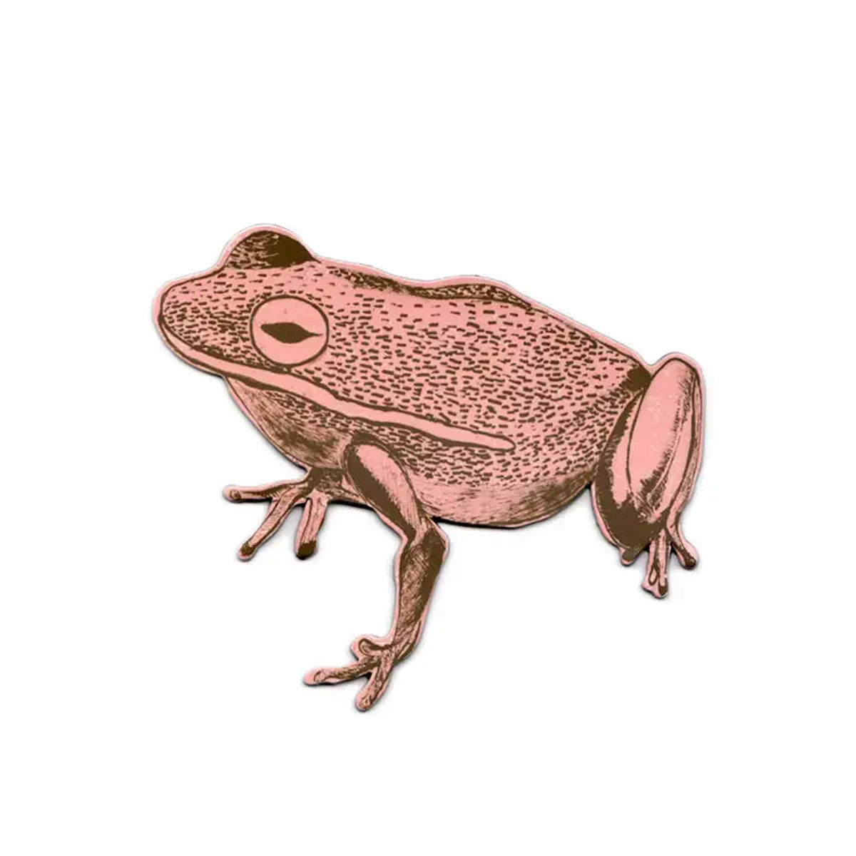Frog Magnet - Pink — Sian Zeng