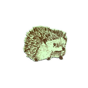 Hedgehog Junior Magnet - Green — Sian Zeng
