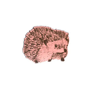 Hedgehog Junior Magnet - Pink — Sian Zeng