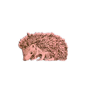 Hedgehog Sideways Magnet - Pink — Sian Zeng