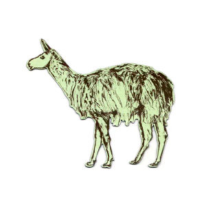 Llama Magnet - Green — Sian Zeng