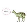 Llama Magnet - Green