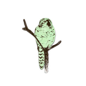 Owl Magnet - Green — Sian Zeng