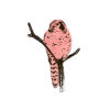 Owl Magnet - Pink