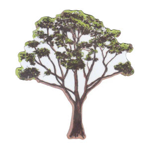 Tree Magnet — Sian Zeng