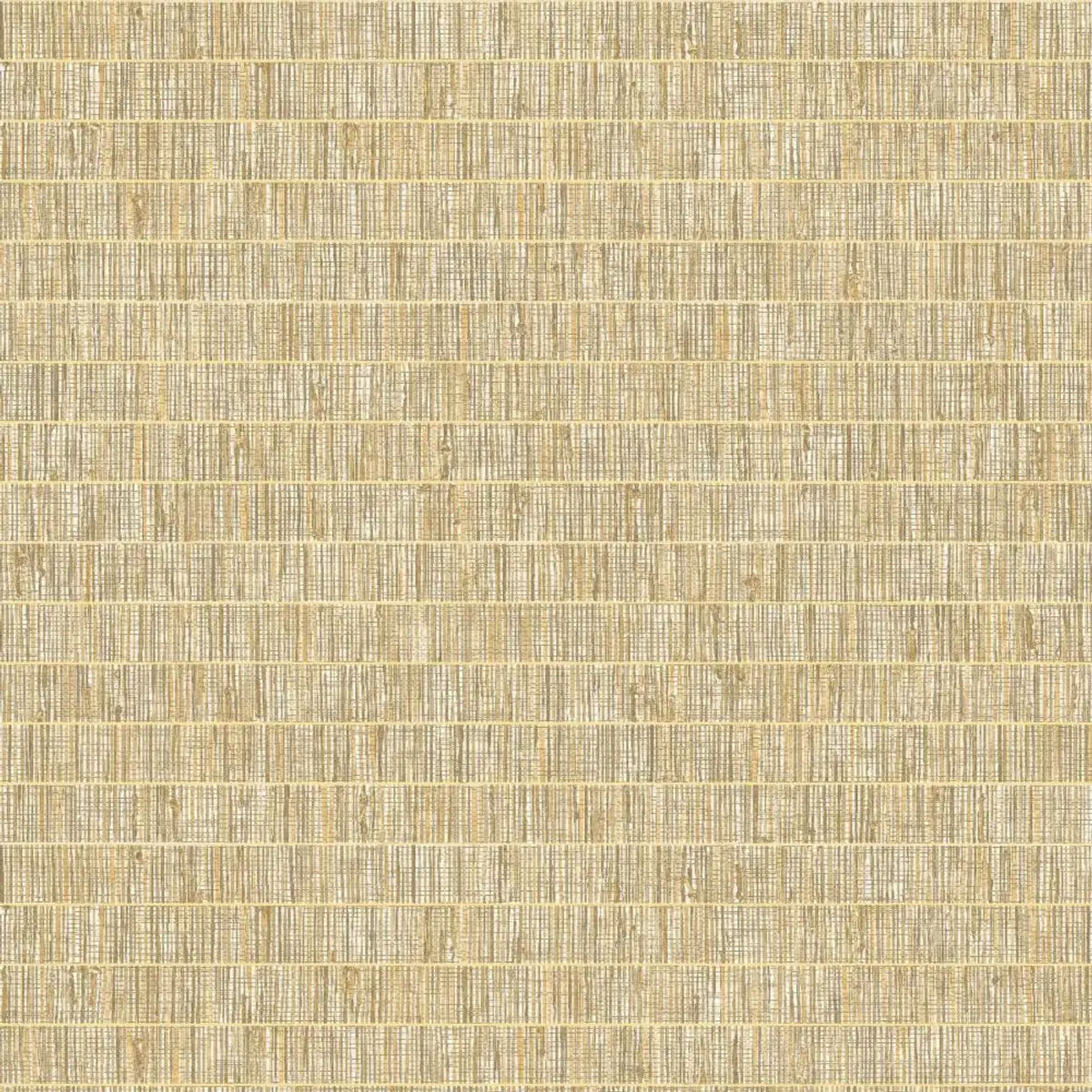Blue Grass Band on Wide Type II Wallpaper — Wallquest