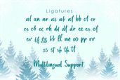 Mistletoes Font Preview8