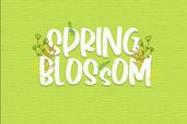 Spring Garden Font Preview5