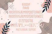 Blossom Fairies Font Preview5