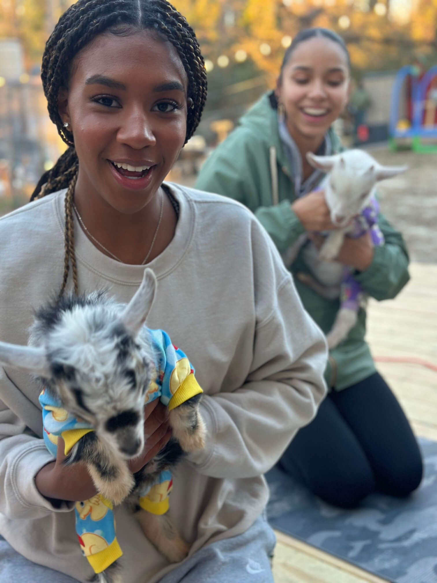 goat yoga gallery image