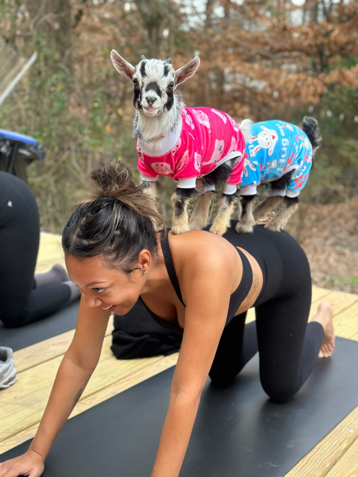 goat yoga gallery image