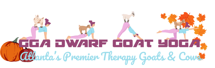 GGA Dwarf Goat Yoga