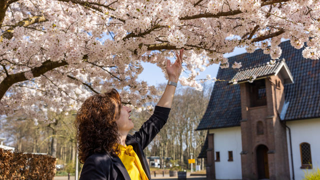 Vrouw bij bloesemboom