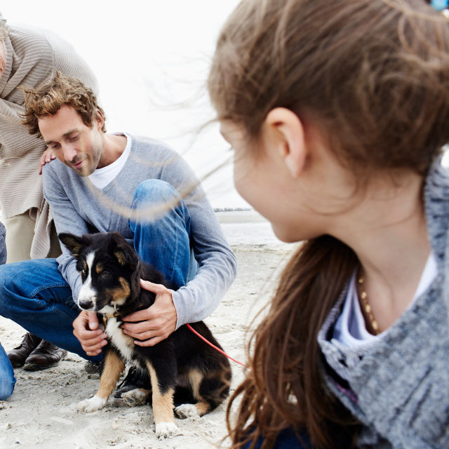 Gezin op strand met hond -getty images