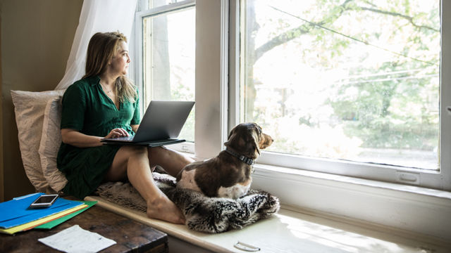 Vrouw zit in raam met laptop en hond