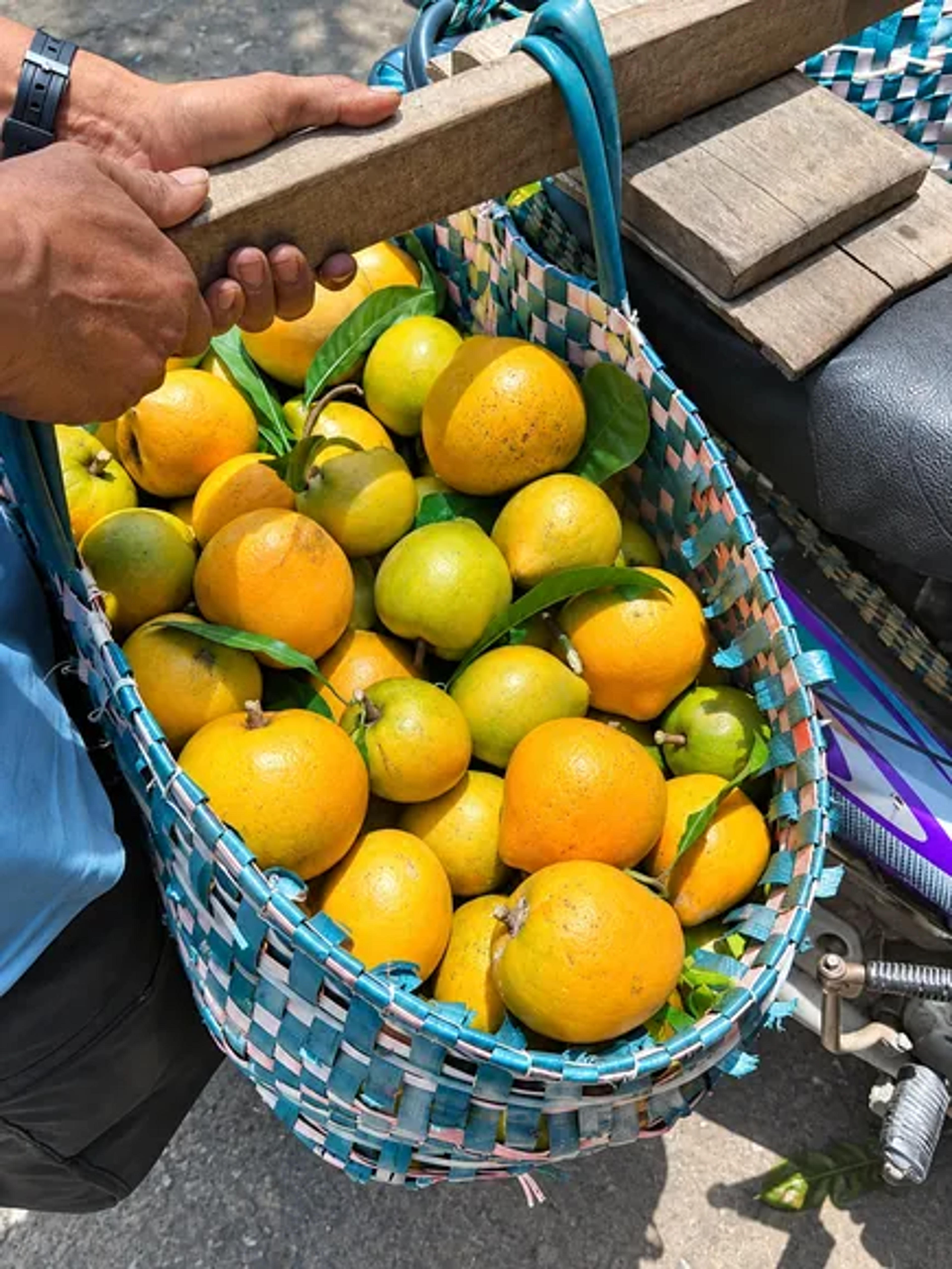 Rổ quả lêkima chín vừa thu hoạch