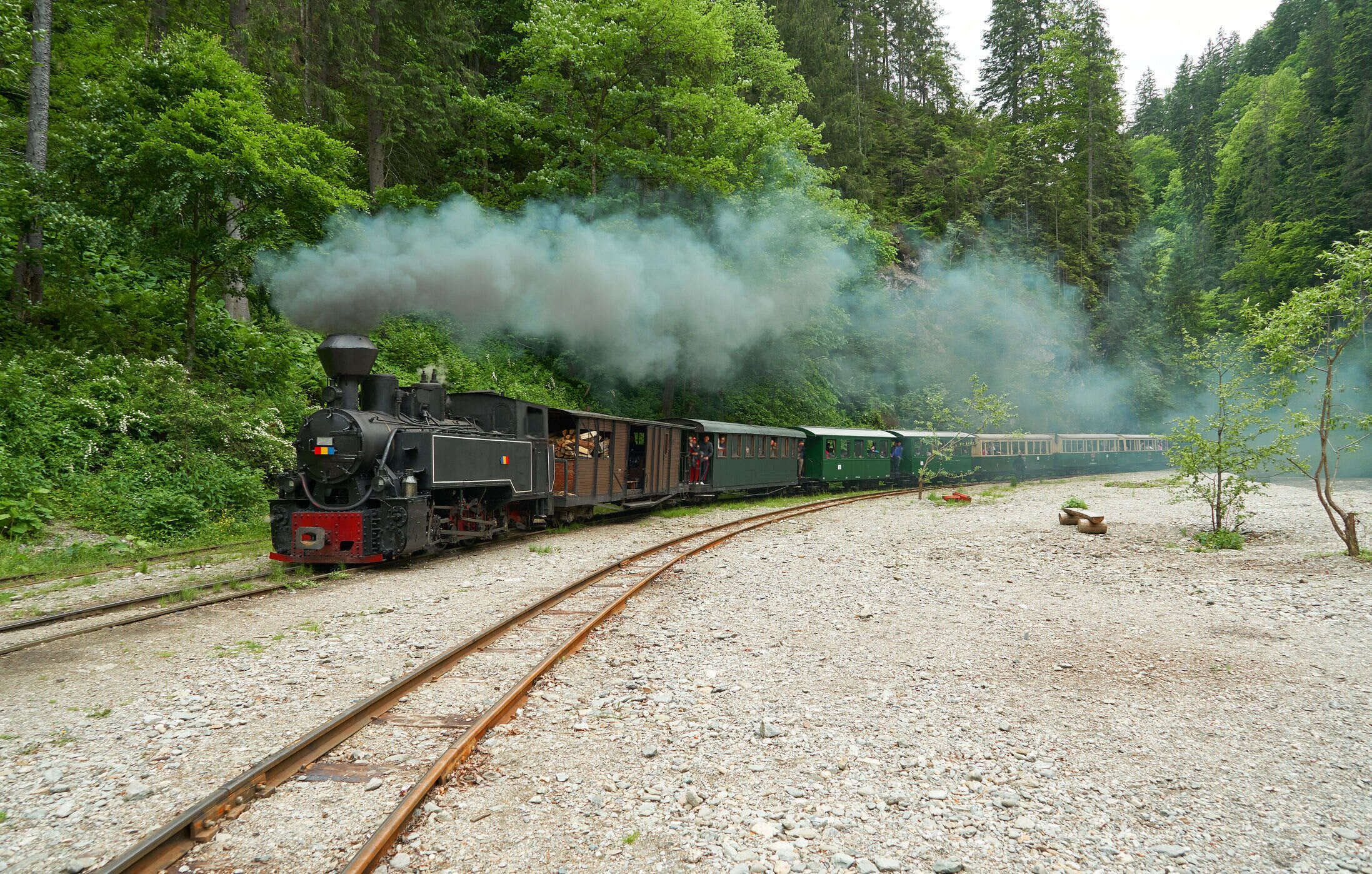 Vaser Valley Narrow-Gauge Steam Train
