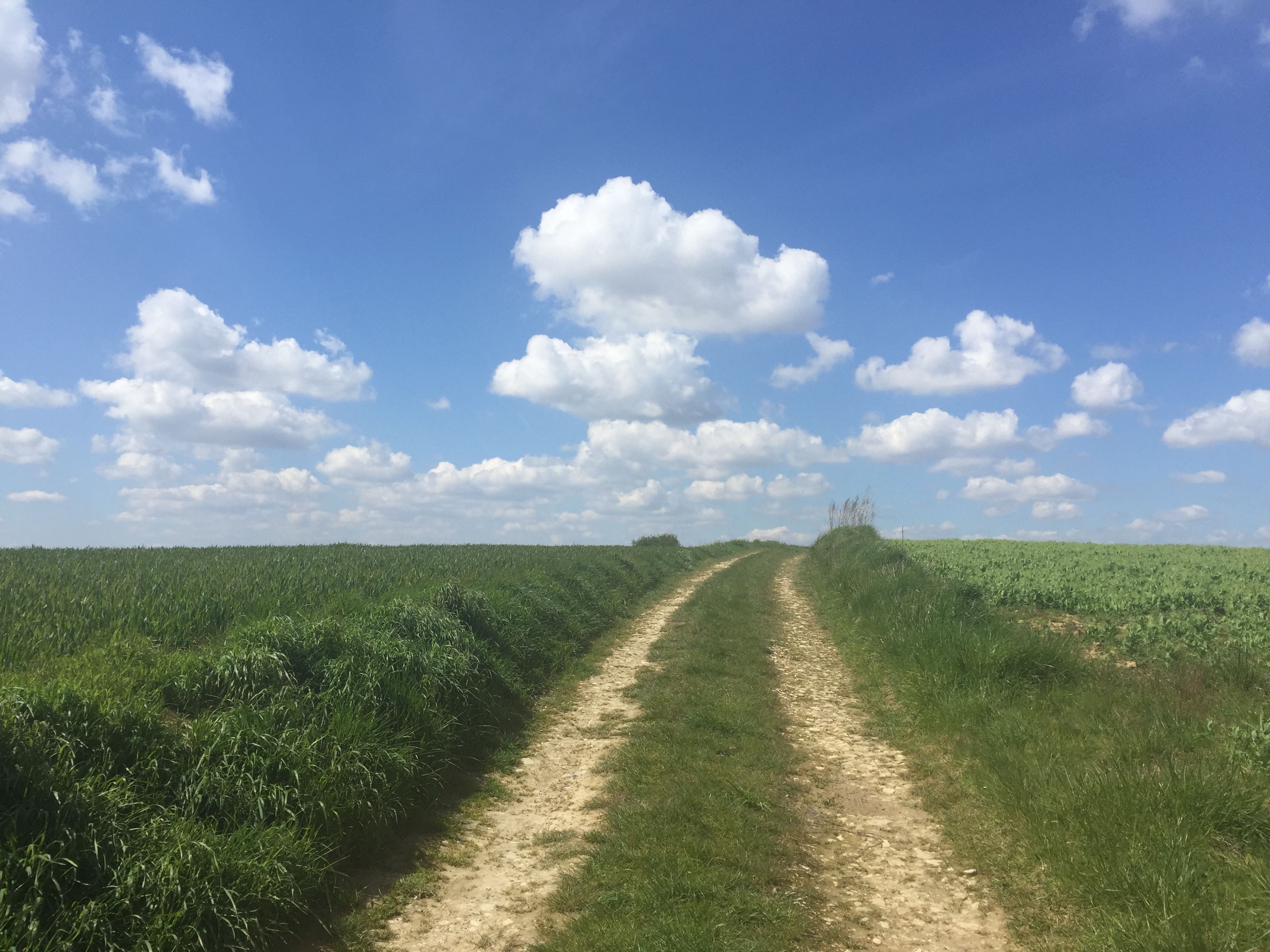 Walking the Somme