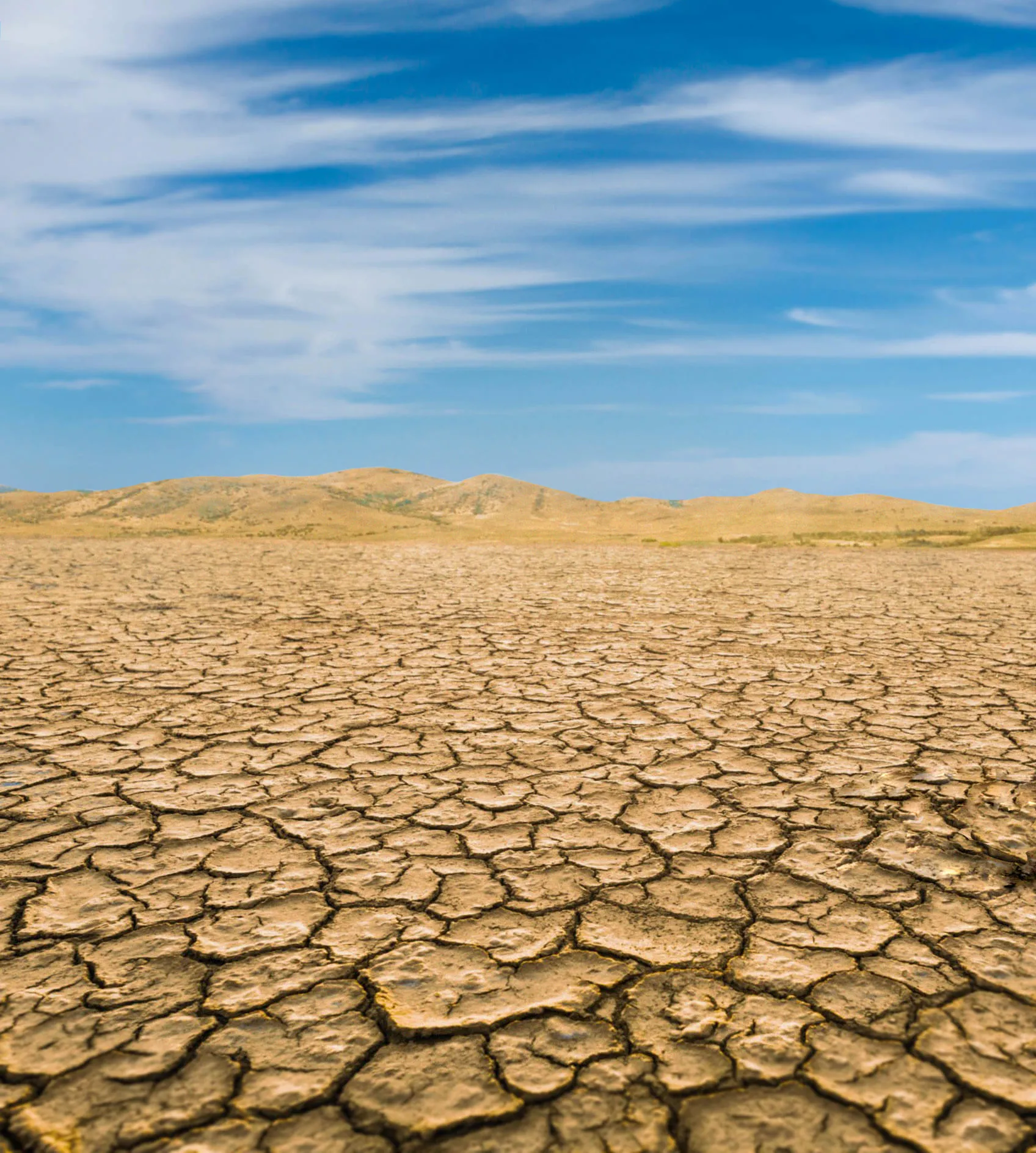 sustainability image