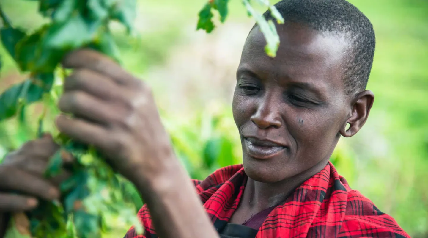 sustainability image