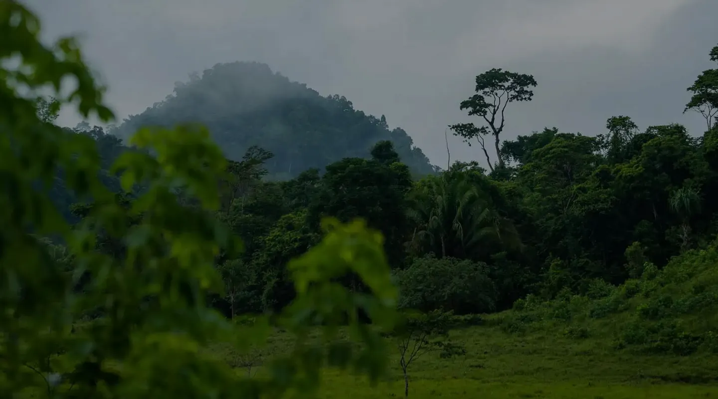 sustainability image