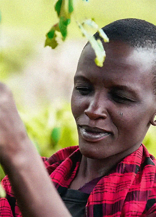 sustainability image