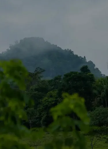 sustainability image