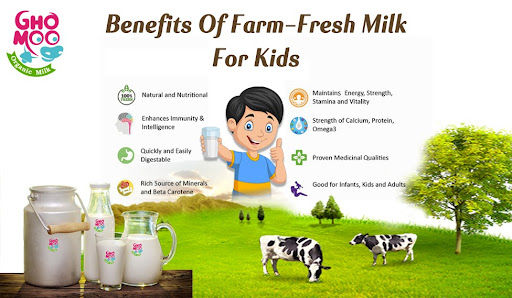 Cow milk is hot sale good for infants