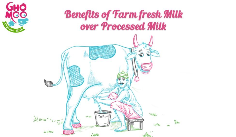 Organic Farm in chennai