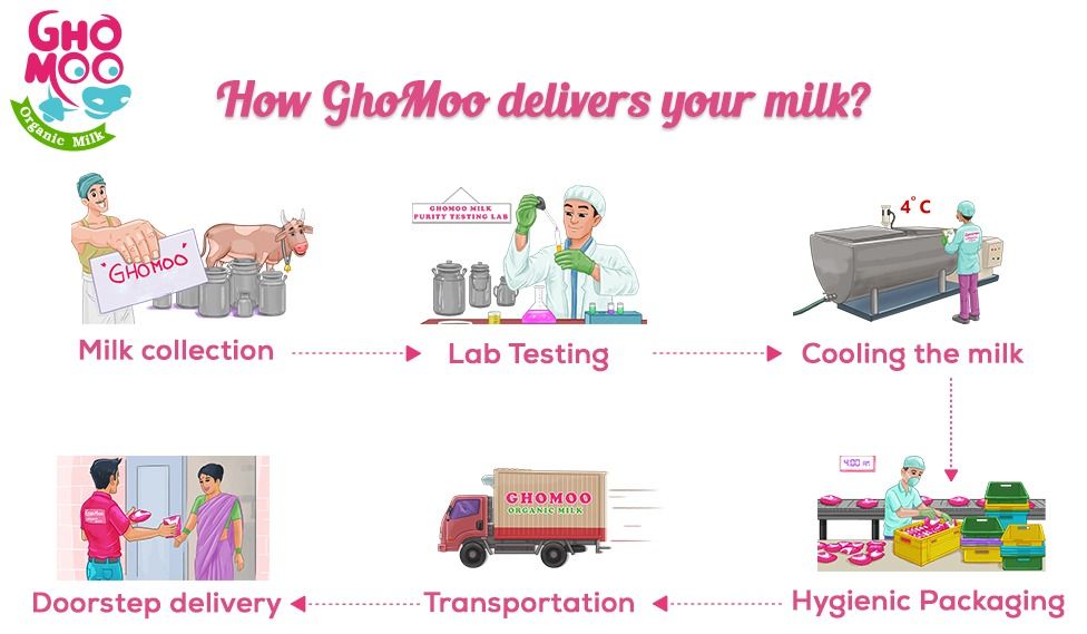 How-Ghomoo-Delivers-your-Milk
